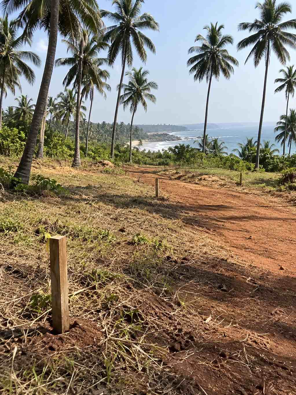 Coconut-fringed Rekawa coastal plot with survey pegs and a red-earth track, mid-morning