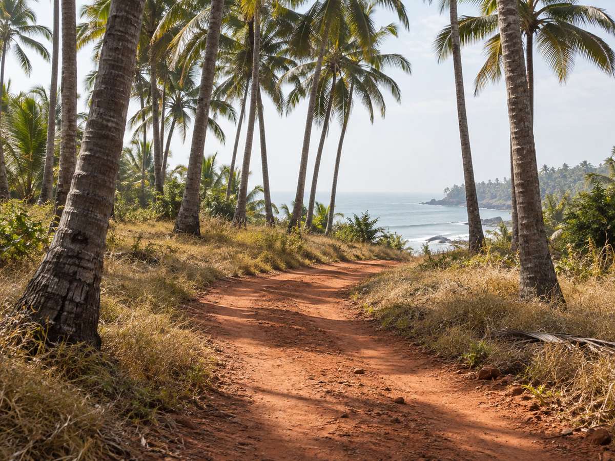 Laterite track curving through coconut trunks toward a bright sea haze